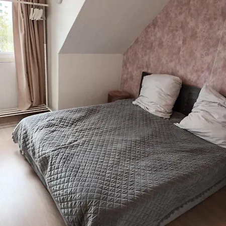 Apartment In Near Center *